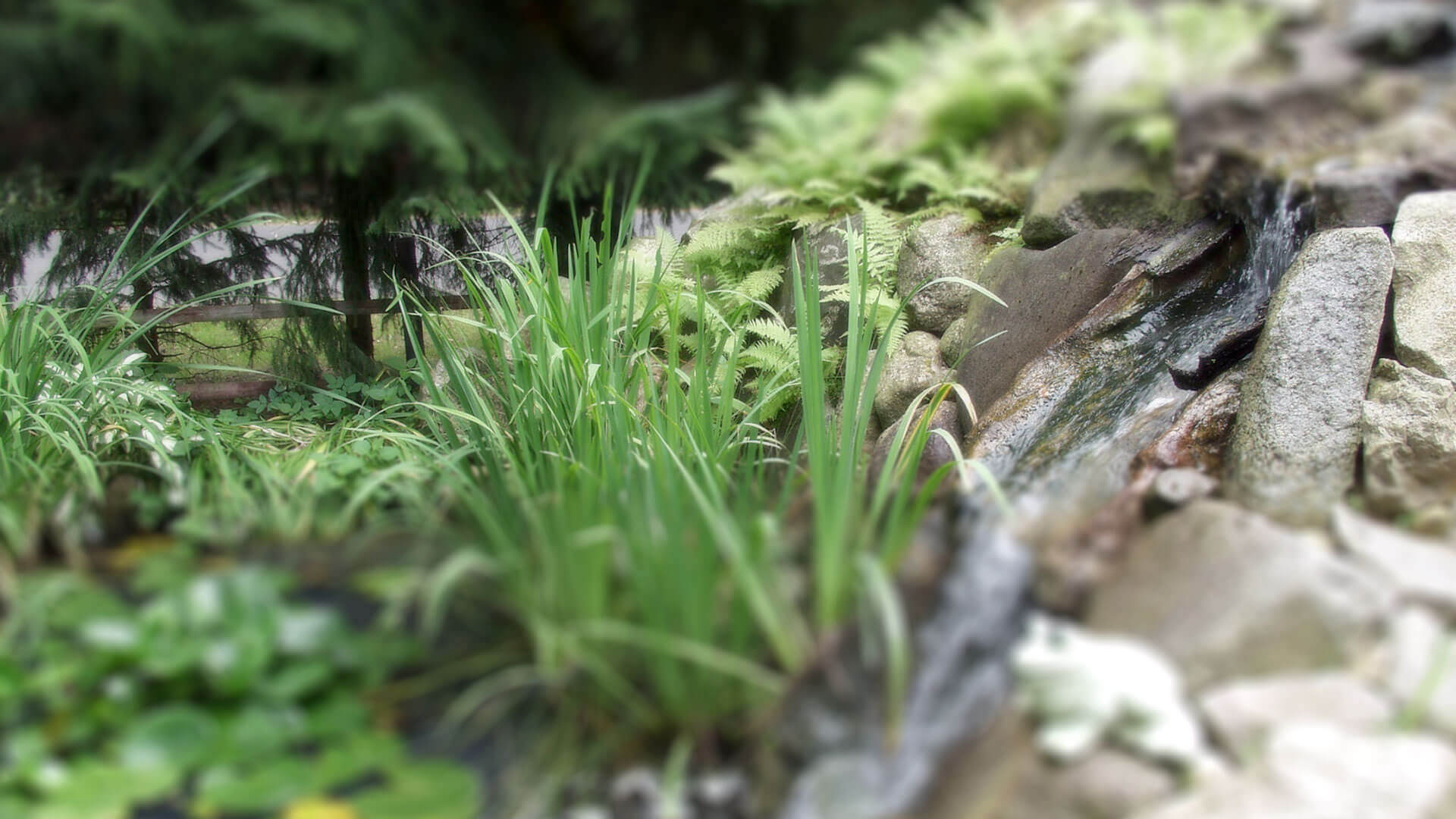 Unser schöner Wasserfall